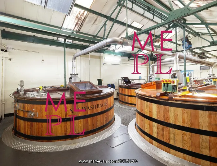 : Washbacks, Oban Distillery, Oban, Argyll and Bute, Scotland : Washbacks, Oban Distillery, Oban, Argyll and Bute, Scotland