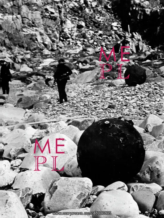 : Washed up sea mimes, 1939-1945 : Washed up sea mimes, 1939-1945