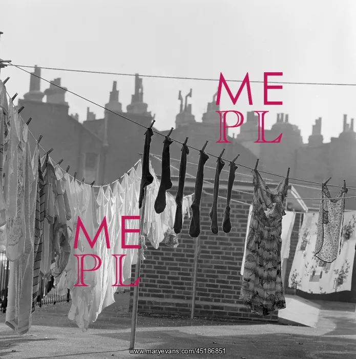 : Washing Line : Washing Line