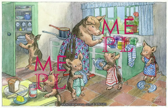: Washing Up - pig and piglets in kitchen : Washing Up - pig and piglets in kitchen