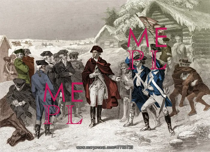 : Washington and the Committee of Congress, 1777 : Washington and the Committee of Congress, 1777