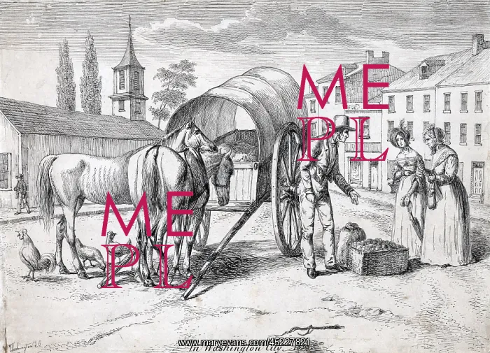 : Washington, D.C. Man with two horses and ? : Washington, D.C. Man with two horses and ?