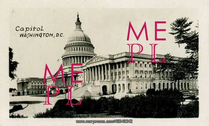 : Washington DC, USA - The Capitol : Washington DC, USA - The Capitol