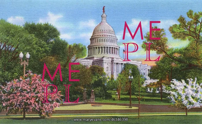 : Washington DC, USA - US Capitol at blossom time : Washington DC, USA - US Capitol at blossom time