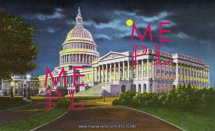 : Washington DC, USA - US Capitol Building by night : Washington DC, USA - US Capitol Building by night