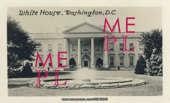 : Washington DC, USA - The White House : Washington DC, USA - The White House
