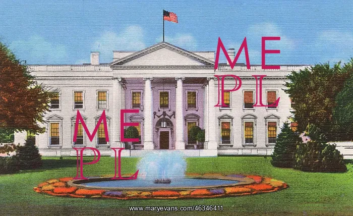 : Washington DC, USA - The White House : Washington DC, USA - The White House