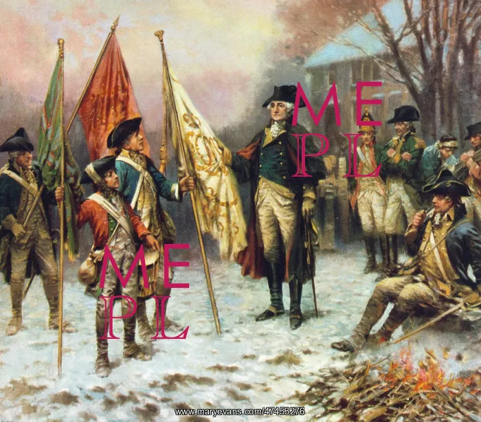 : Washington inspecting the captured colors after the battle o : Washington inspecting the captured colors after the battle o