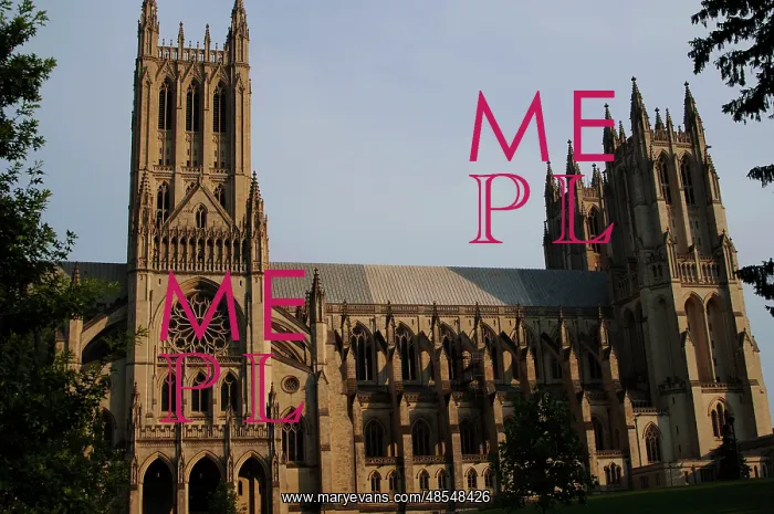 : Washington National Cathedral. Washington D.C. United States : Washington National Cathedral. Washington D.C. United States