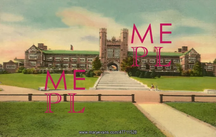  : Washington University. Saint Louis