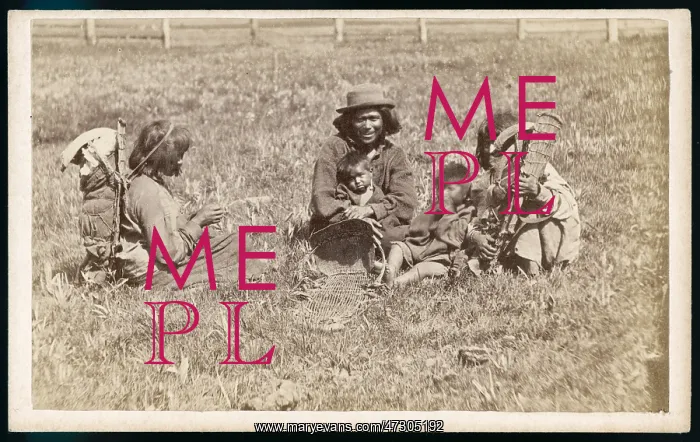 : WASHOE FAMILY GROUP : WASHOE FAMILY GROUP