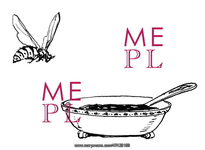 : Wasp and bowl of jam : Wasp and bowl of jam