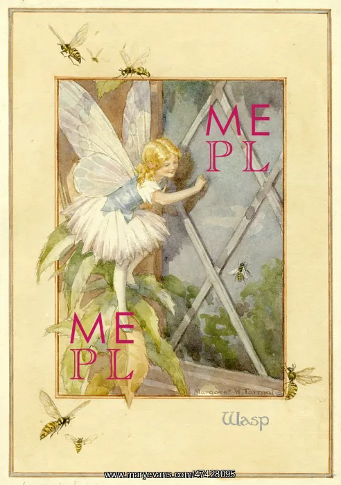 : Wasp Fairy : Wasp Fairy