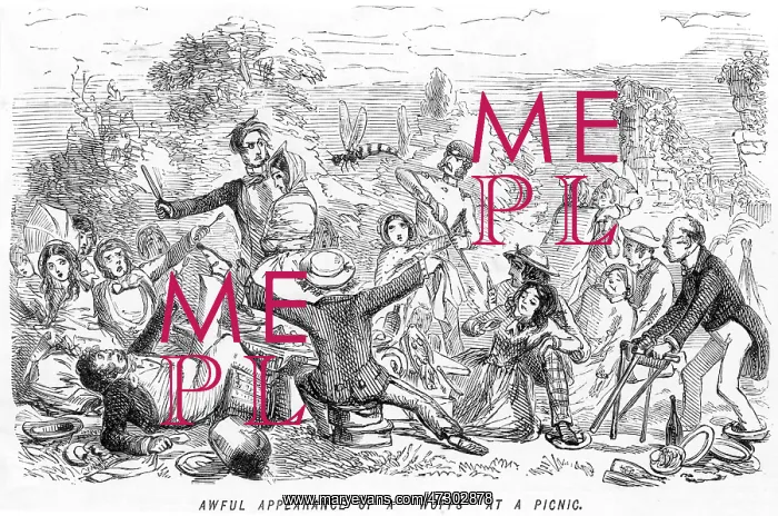 : WASP AT A PICNIC : WASP AT A PICNIC