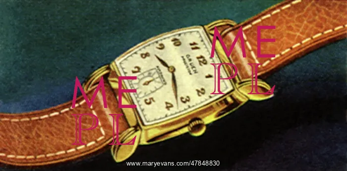  : Watch with Brown Band