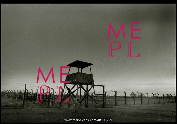 : Watch tower Auschwitz-Birkenau : Watch tower Auschwitz-Birkenau