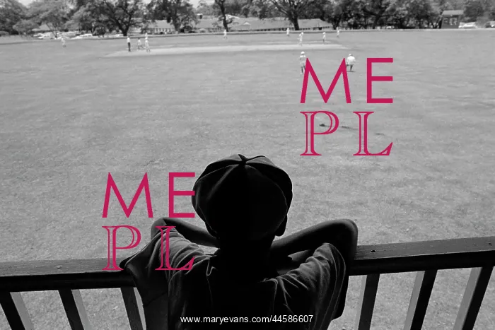 : Watching cricket in Durban : Watching cricket in Durban