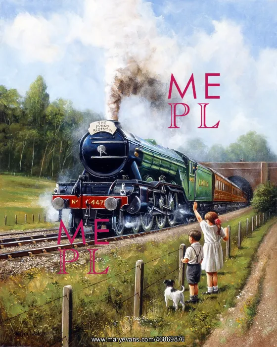 : Watching The Trains 1, LNER Flying Scotsman : Watching The Trains 1, LNER Flying Scotsman