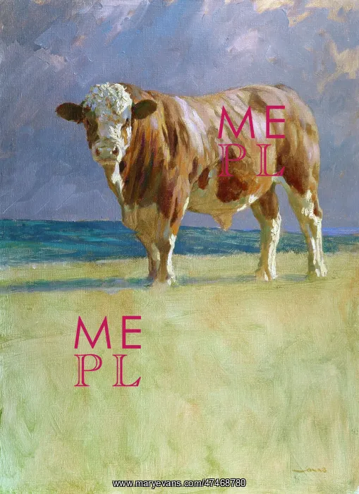  : Watching You, Watching Me ? Bull