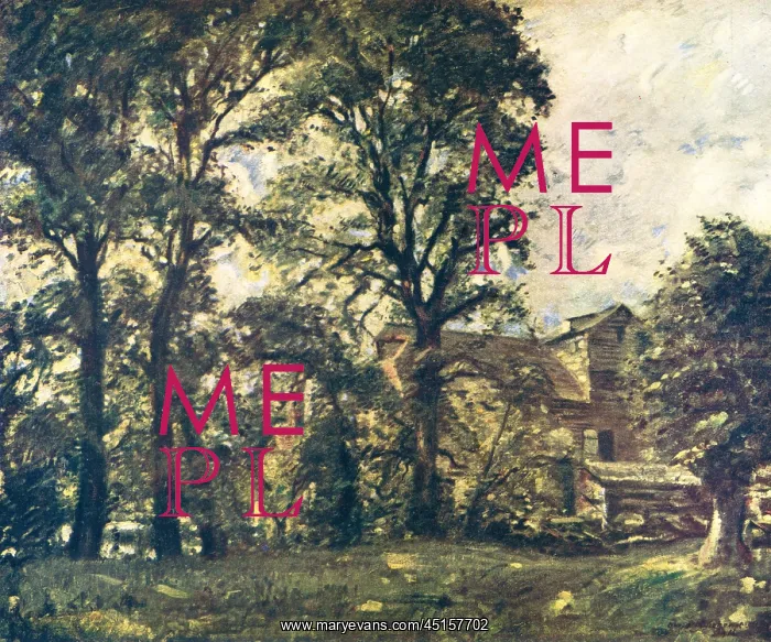 : The Water Mill : The Water Mill