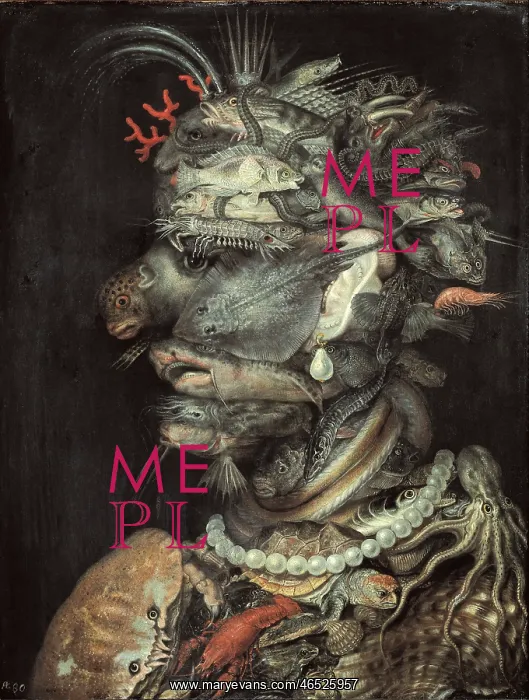 : Water (Aqua), by Giuseppe Arcimboldo : Water (Aqua), by Giuseppe Arcimboldo