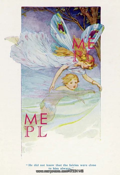 : WATER BABIES / FAIRIES / TOM : WATER BABIES / FAIRIES / TOM