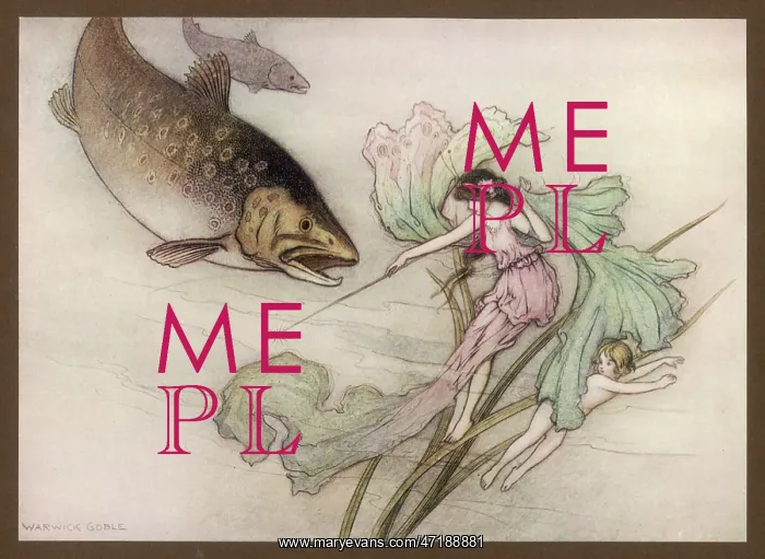 : WATER BABIES / TOM / TROUT : WATER BABIES / TOM / TROUT