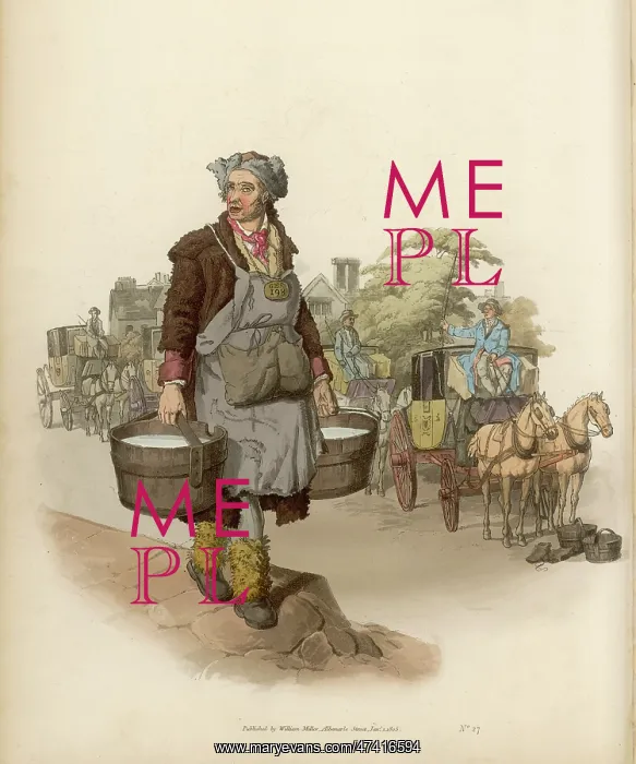 : Water Carrier : Water Carrier