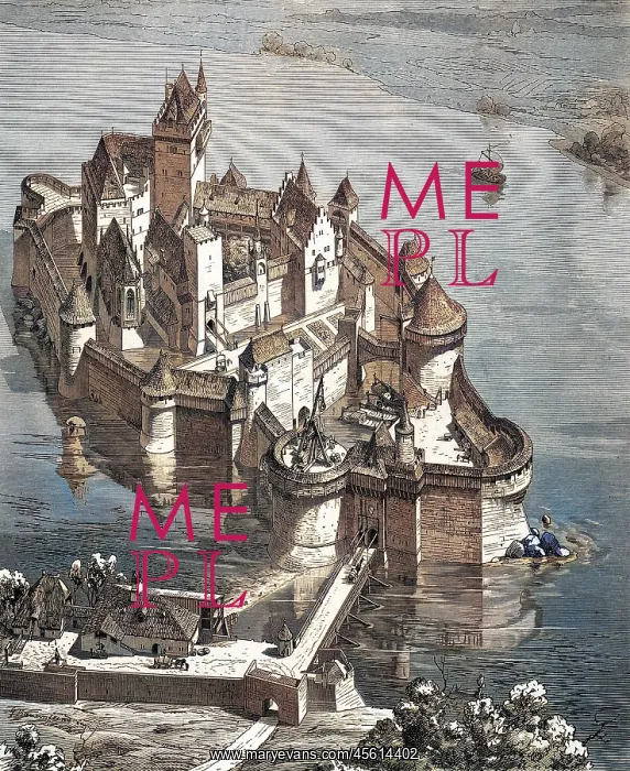 : Water castle in medieval Germany : Water castle in medieval Germany