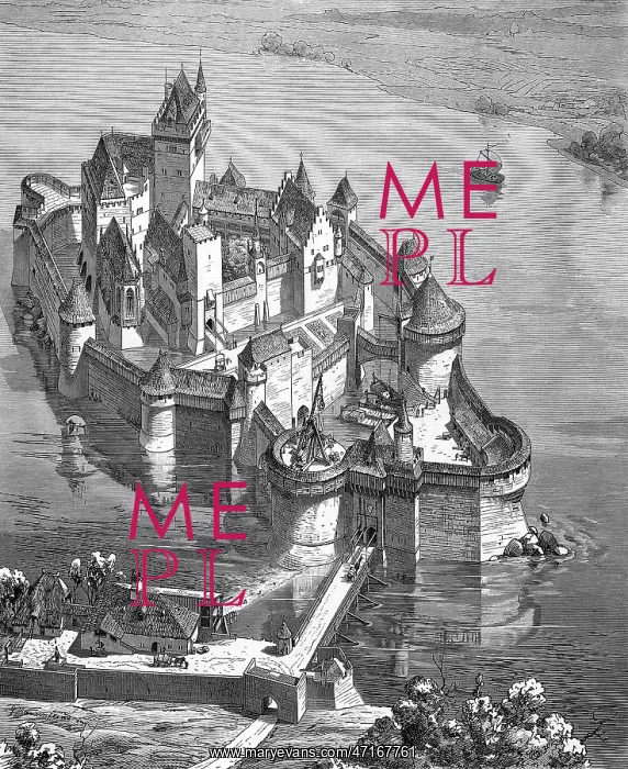 : Water castle in medieval Germany : Water castle in medieval Germany