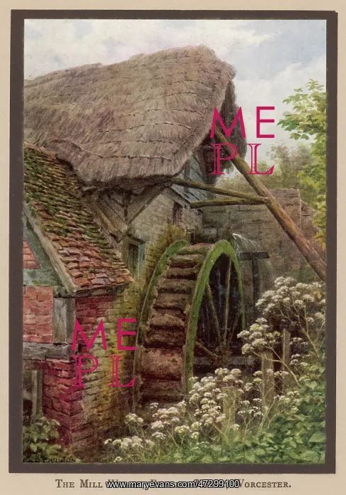 : WATER MILL AT ELMLEY : WATER MILL AT ELMLEY
