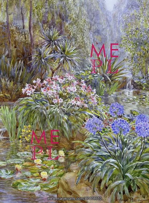 : The Water Garden ' with water lilies etc : The Water Garden ' with water lilies etc