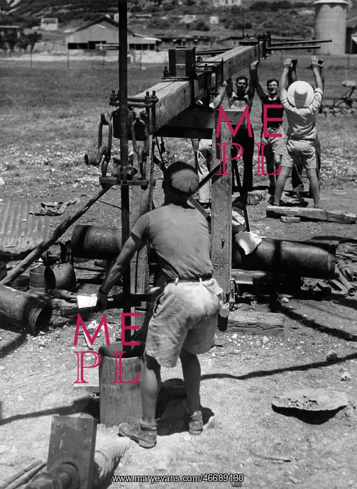 : Water hole in Palestine : Water hole in Palestine