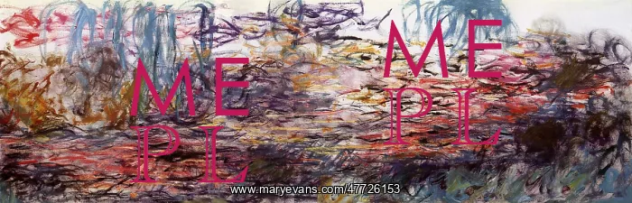  : Water-Lilies, by Monet