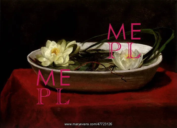  : Water Lilies in a White Bowl