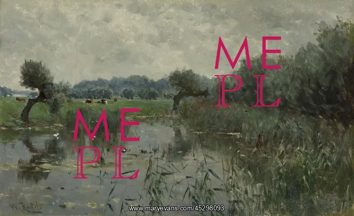 : Water Meadows on the River IJssel : Water Meadows on the River IJssel