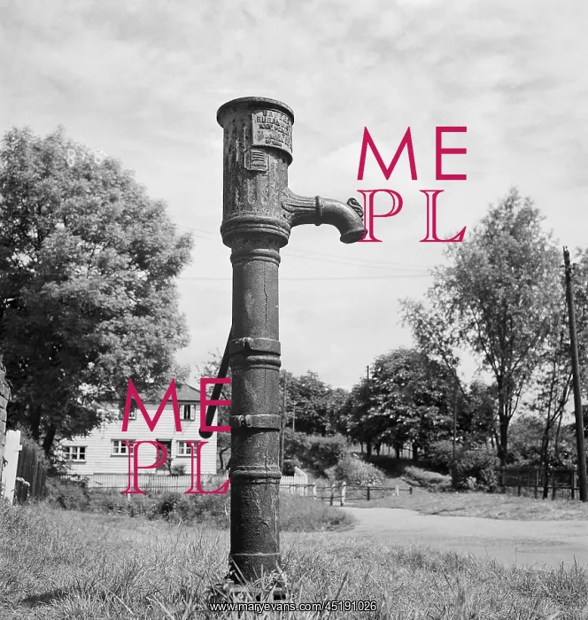 : Water Pump : Water Pump