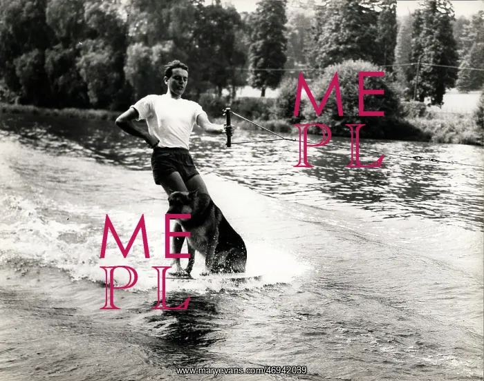 : Water-Skiing with the Dog : Water-Skiing with the Dog