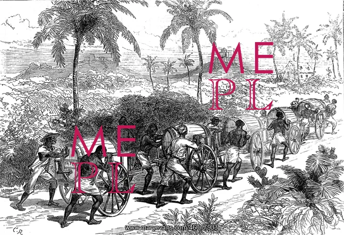 : Water supply to Cape Coast Castle, 1874 : Water supply to Cape Coast Castle, 1874