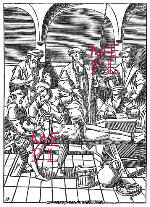 : Water Torture, 1556 : Water Torture, 1556
