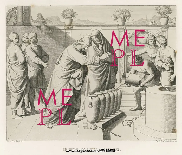 : WATER TO WINE : WATER TO WINE