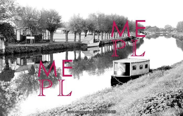  : Waterbeach, the River Cam, Clayhithe c1955