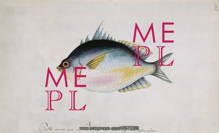 : Watercolour 66 from the Watling Collection : Watercolour 66 from the Watling Collection