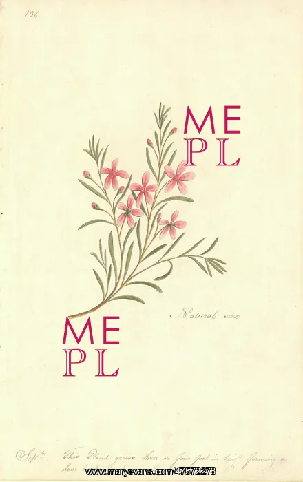 : Watercolour 67 from the Watling Collection : Watercolour 67 from the Watling Collection