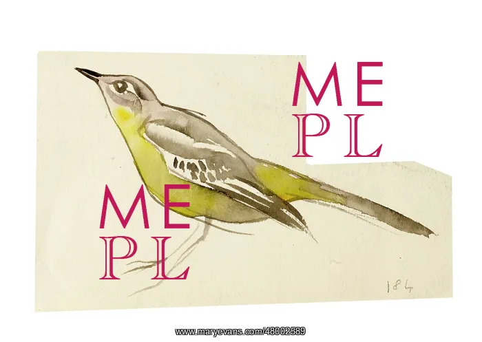  : Watercolour study of a bird