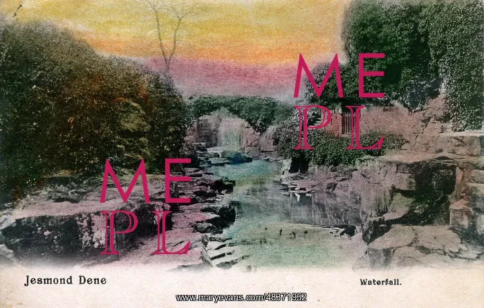 : Waterfall, Jesmond Dene, County Durham : Waterfall, Jesmond Dene, County Durham