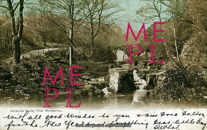 : Waterfall, Jesmond Dene, County Durham : Waterfall, Jesmond Dene, County Durham