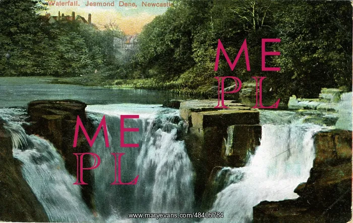: Waterfall, Jesmond Dene, County Durham : Waterfall, Jesmond Dene, County Durham