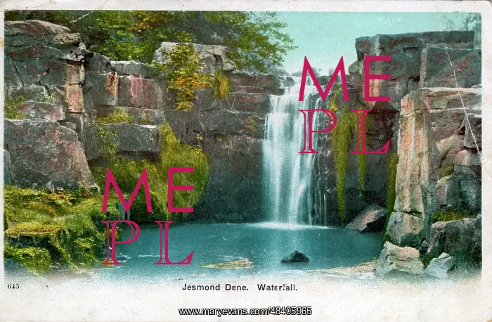 : Waterfall, Jesmond Dene, County Durham : Waterfall, Jesmond Dene, County Durham