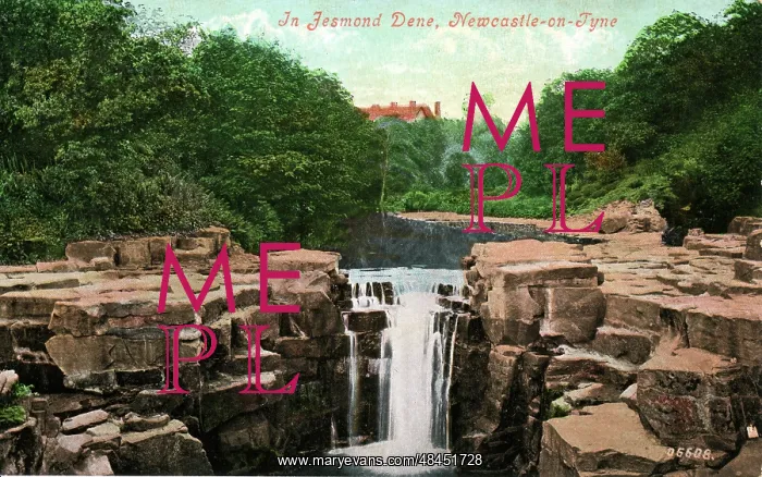 : Waterfall, Jesmond Dene, County Durham : Waterfall, Jesmond Dene, County Durham